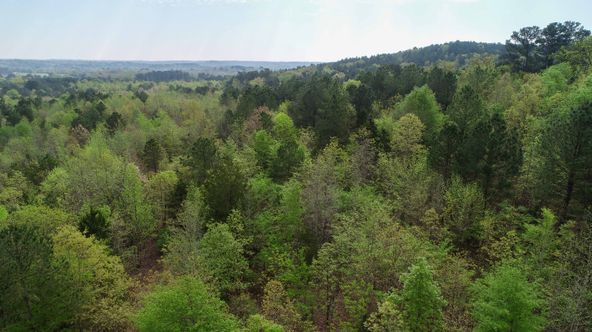 Farris 115 Timber: 00 CR 2215, Daingerfield, TX 75638